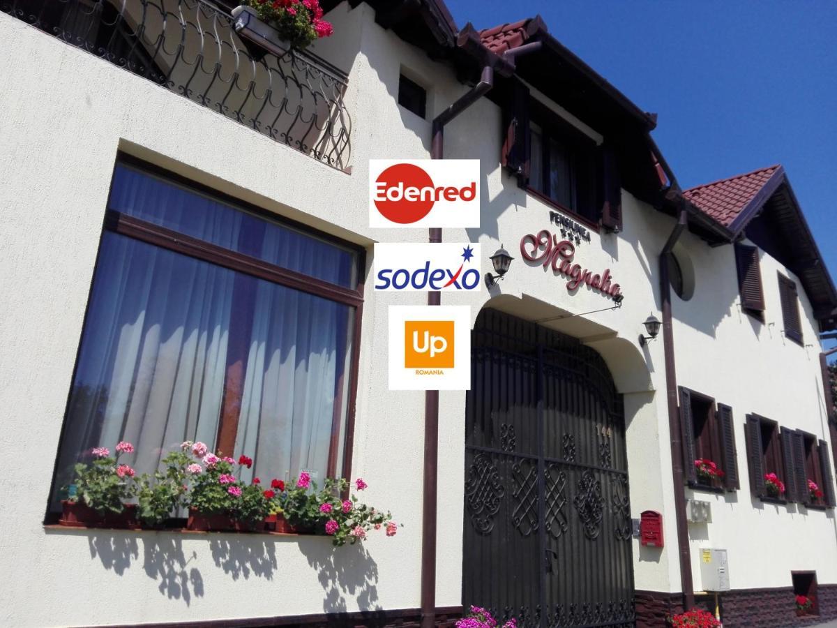 Pensiunea Magnolia Sibiu Exterior foto