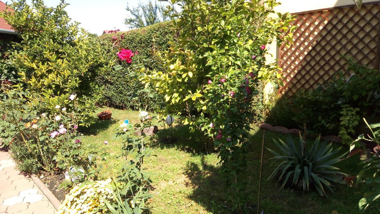 Pensiunea Magnolia Sibiu Exterior foto