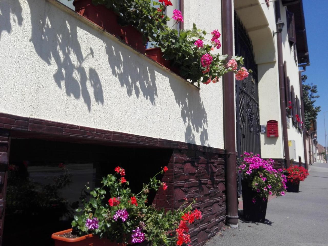 Pensiunea Magnolia Sibiu Exterior foto