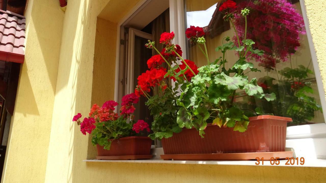 Pensiunea Magnolia Sibiu Exterior foto